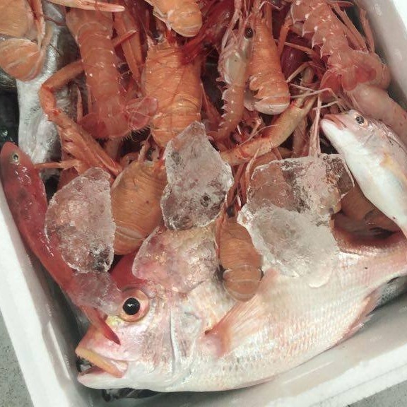 魚セット