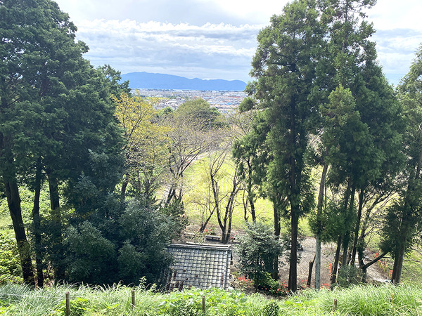 higanbana (4)