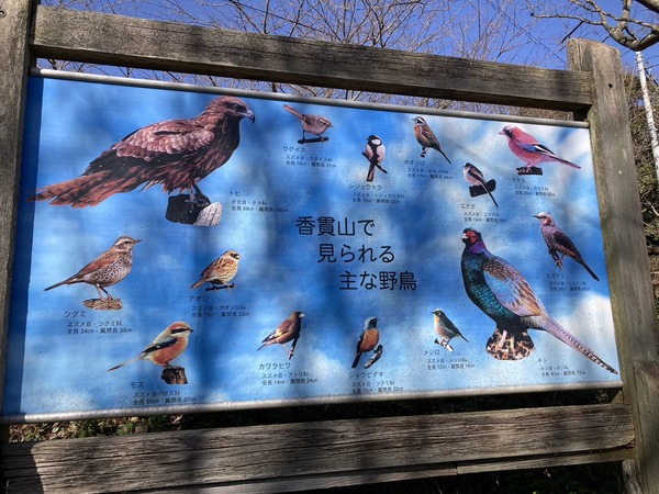 637045E2-058E-4B82-9394-2D3A4E21608C