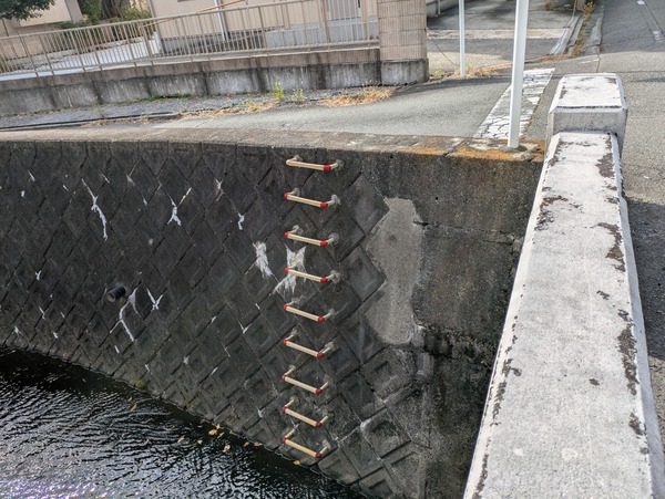 PXL_20251129_040659409