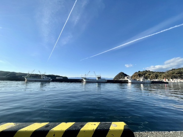 D584D121-D49C-45D6-97AE-E498E53DE22A