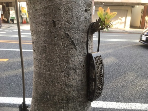 8B803A37-601F-496B-B3F4-2C14D214C280