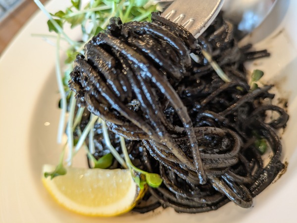 PXL_20250811_033714296