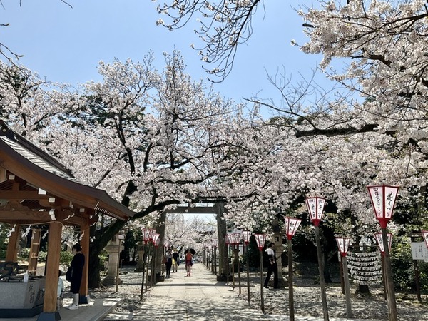 29C57BEF-F28F-4909-B964-67AFFB66042B