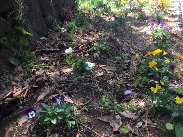 3553E76E-8A5E-4E00-B513-D01DCC94852E