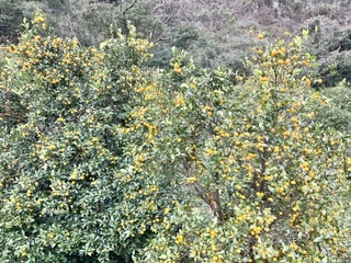 CE9BBCAB-9D0D-46A8-BE30-657C96A9C609