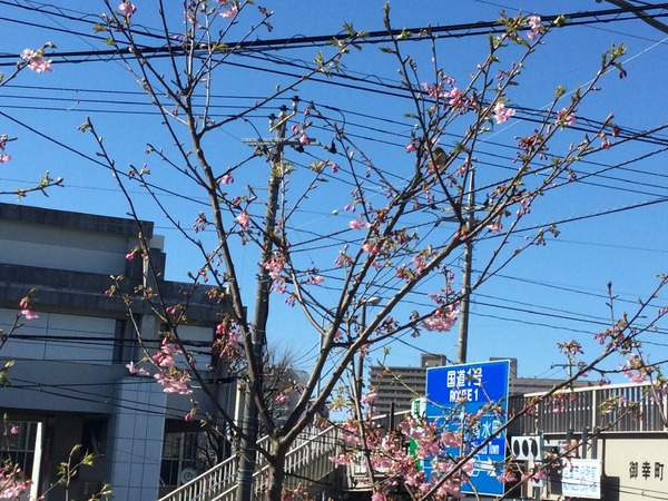 108CA669-7A15-4E1A-86DC-5B5C0F648EDD