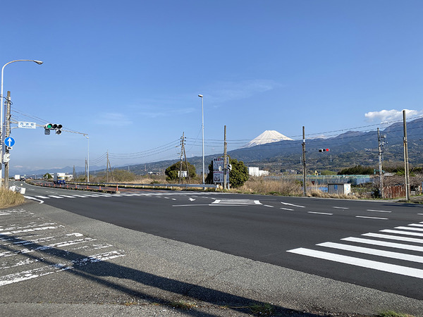 hakuinzakura (10)