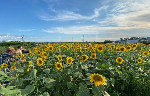 hl01