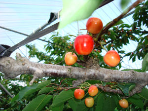 DSC01690