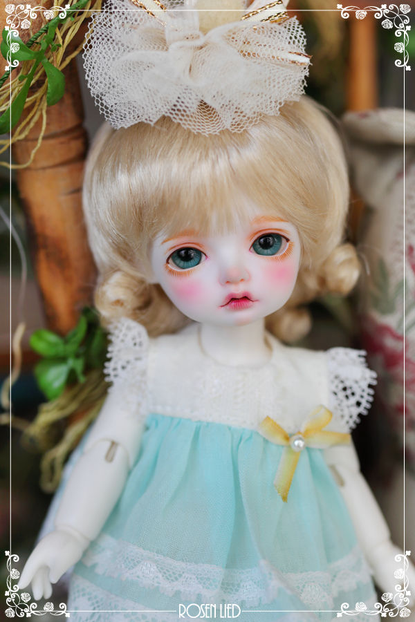 ローゼンリード 本体のみ rosenlied limited Wednesday-