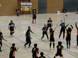 CIMG1772