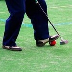 26ゲートボール