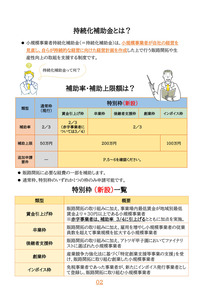 持続化補助金ガイドブック(商工会地区)20220329-3