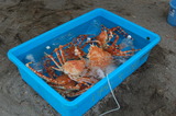 DSC_0077