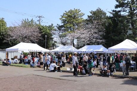 今沢コミュニティ桜まつりを開催しました : 沼津市自治会連合会