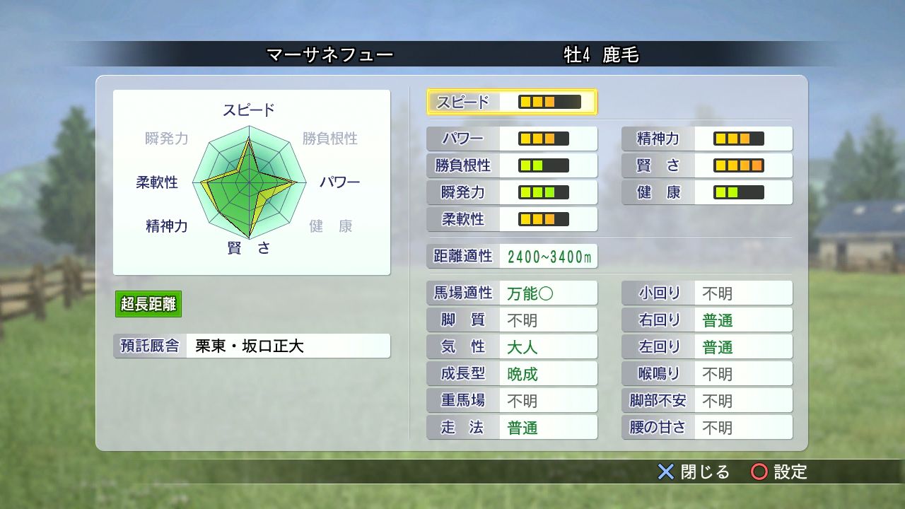 凱旋門の奇跡 Winning Post