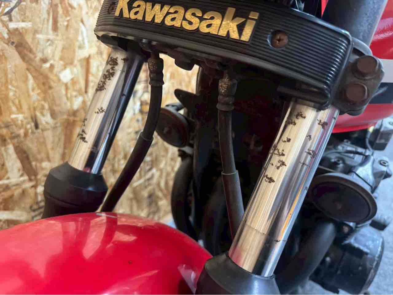 広島県H様のZ400GPトータルメンテナンス① : Z400GP専門店 エムゼクト