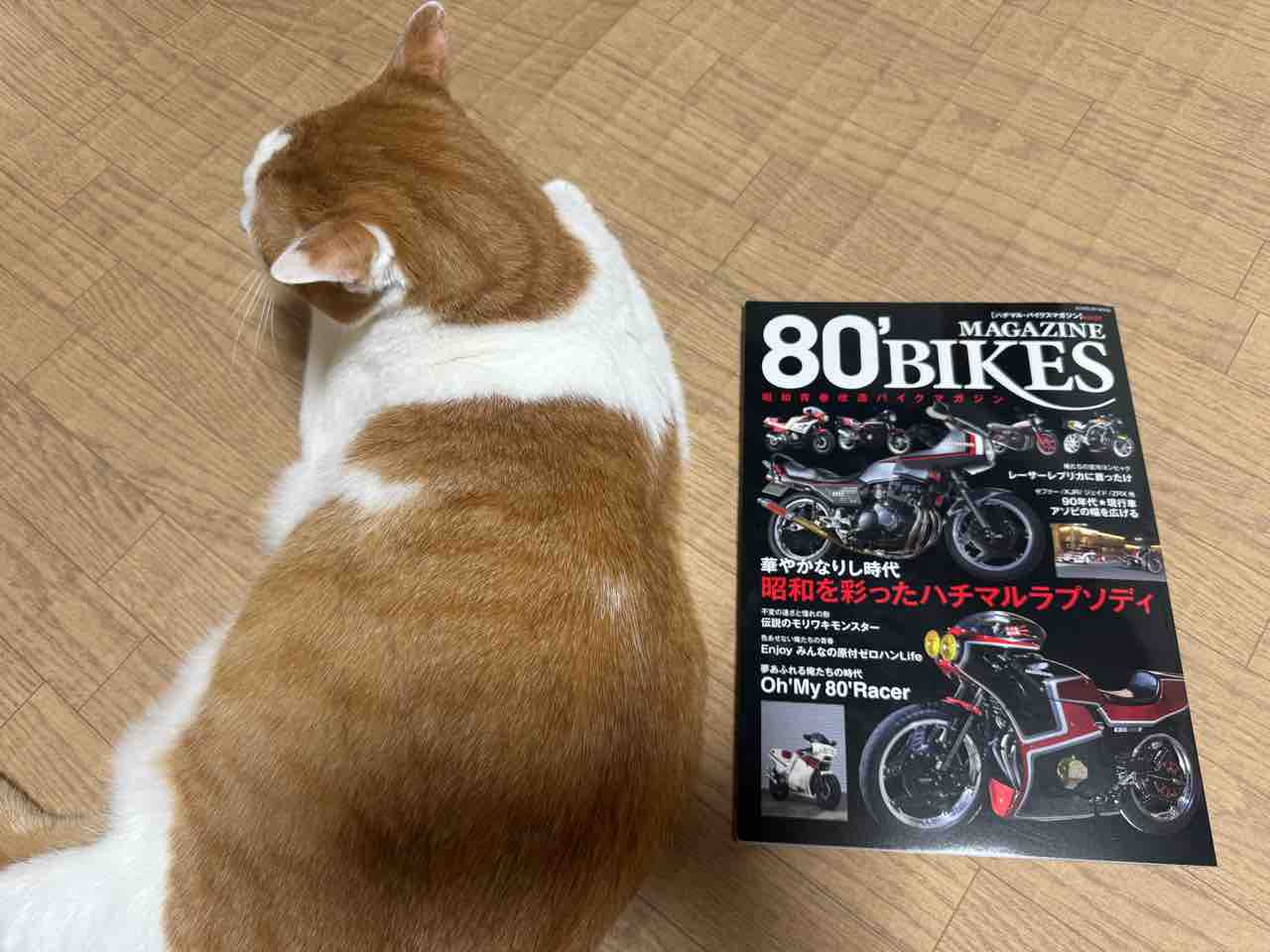 80バイクス創刊＆撮影裏側 : Z400GP専門店 エムゼクト つねちゃんのブログ