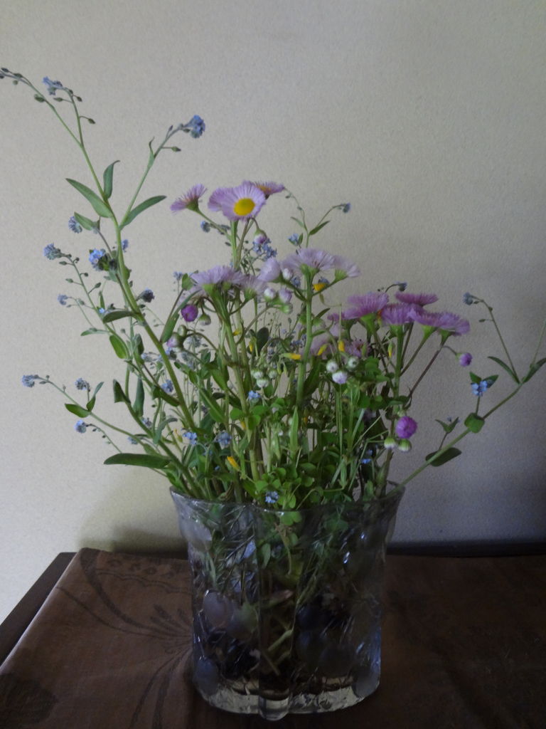 ハルジオン ちりめん細工作家の 和 素敵