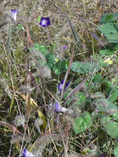DSC00750
