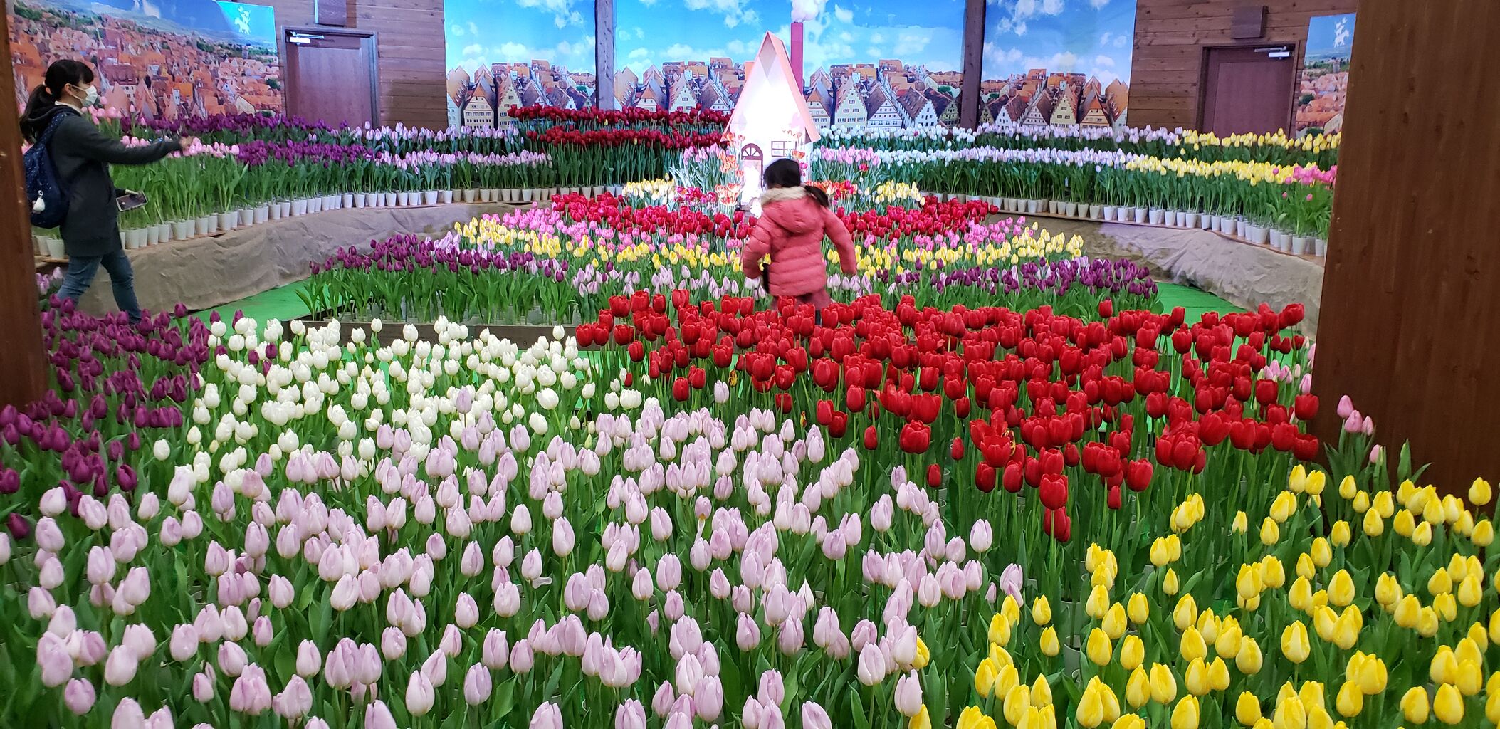 花の咲くところ ターシャの布しごと 花だより 花の咲くところ ターシャの布しごと 花だより