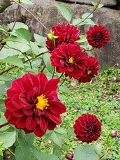 049