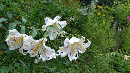 052