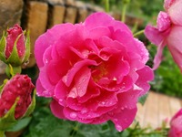 028