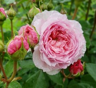 027