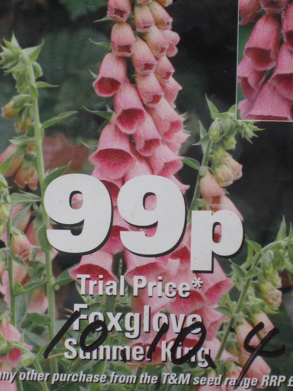 Fox ｇｌｏｖｅ ジギタリス ターシャの布しごと 花だより