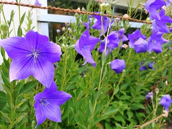 040