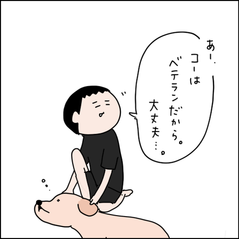 2021081502