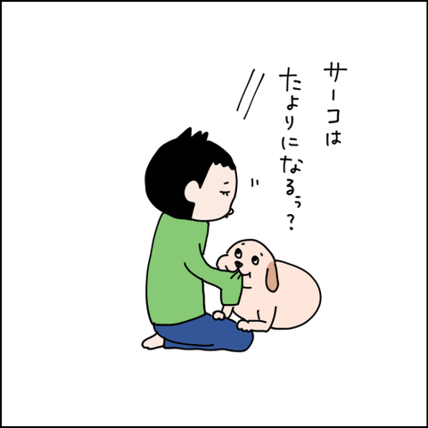 2021112208