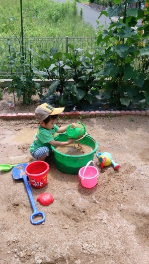 ハナペコブログ