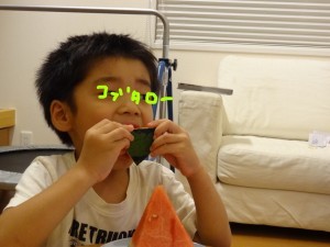 ハナペコブログ