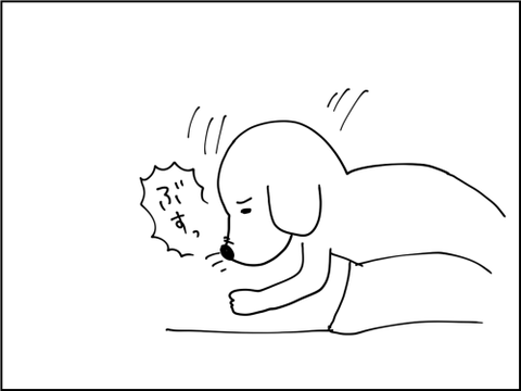 2020120804