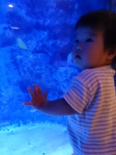 14120384572045.jpg