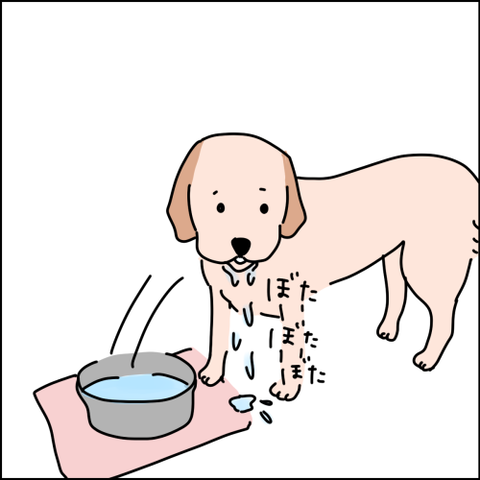 2022060902