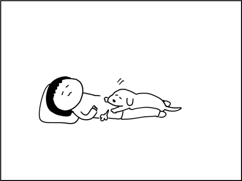 2020120806