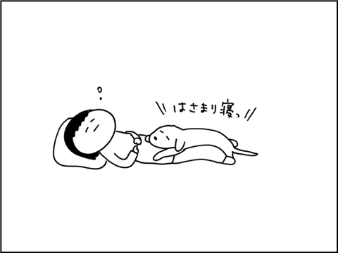 2020120801