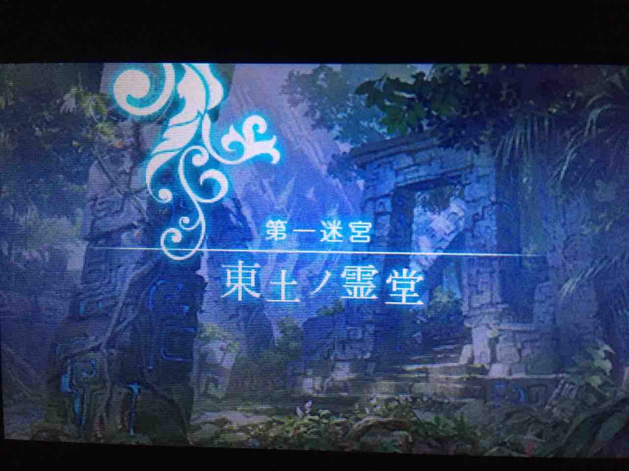 ブロヌ ブロヌ