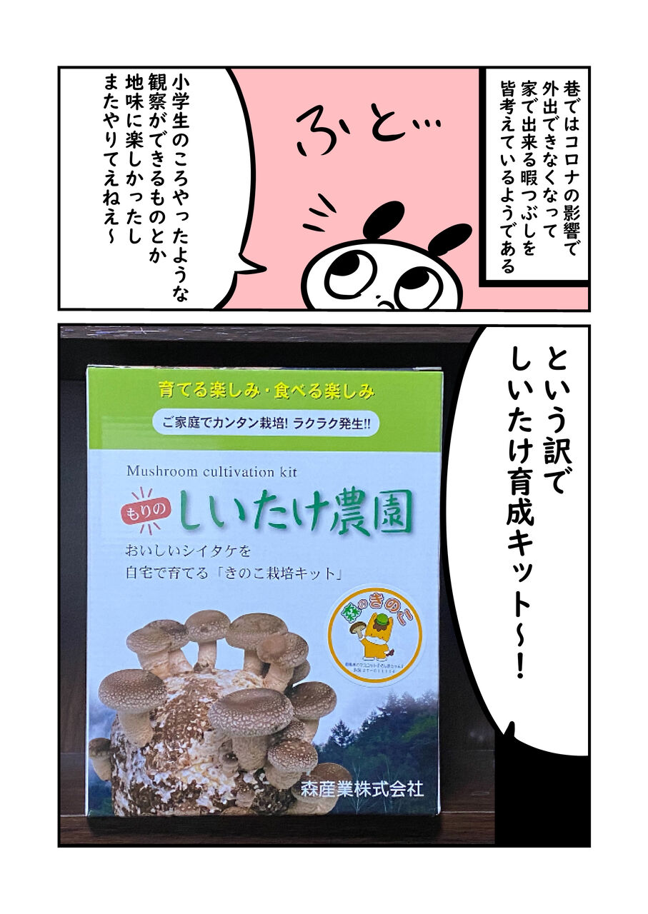 しいたけ栽培キット ぬら次郎のチラ裏日常 Powered By ライブドアブログ