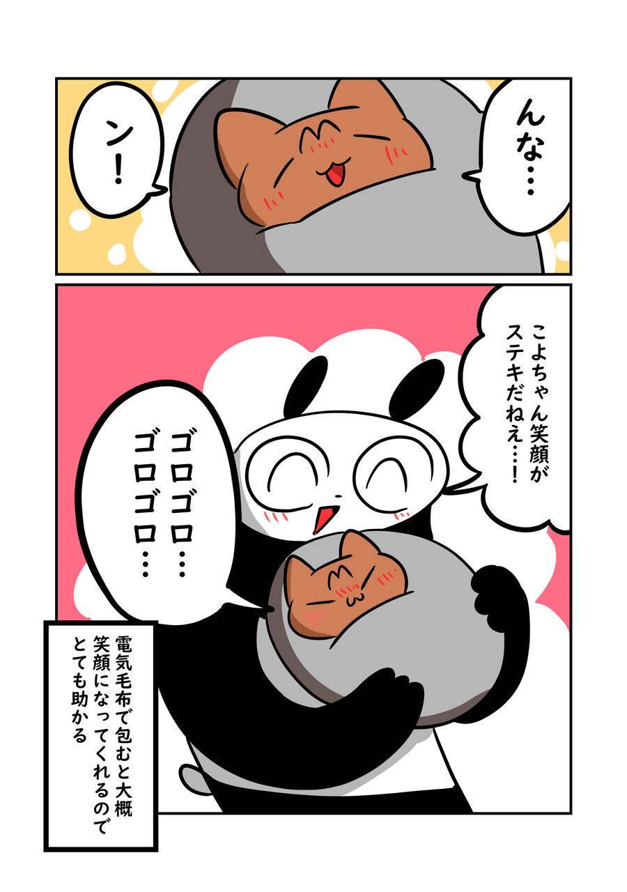 猫の機嫌の取り方 : ぬら次郎のチラ裏日常 Powered by ライブドアブログ