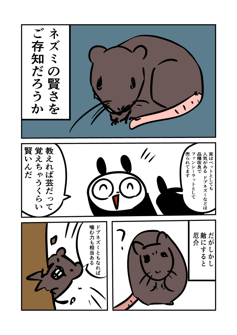 ネズミのお話 ぬら次郎のチラ裏日常 Powered By ライブドアブログ