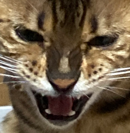 366cf0bb0f91d93976d89b36304257c2