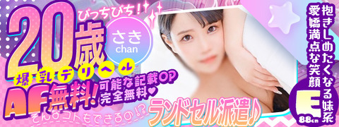 166797-スマホフリーバナー