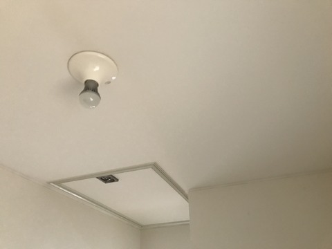 写真 2017-07-27 13 59 10