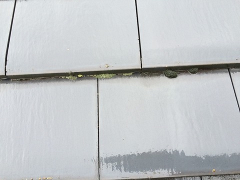 屋根洗浄前2