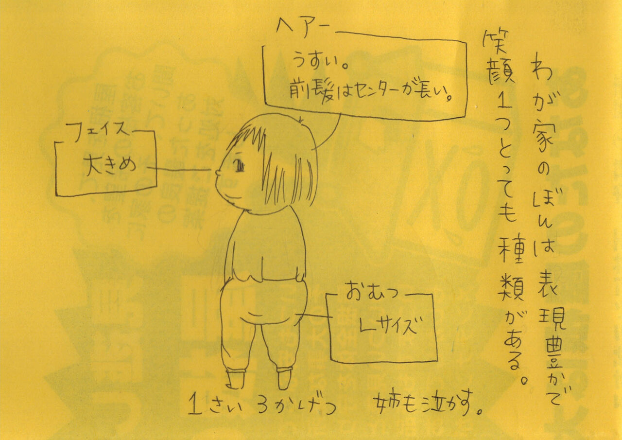 492 1000 笑顔の種類 チラシの裏マンガ ホゲットさんのsusaki 備忘録 どっとじぇーぴー 改